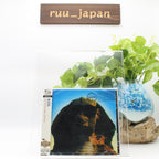 New Kiss CD(SHM-CD) Hot In The Shade Japan OBI