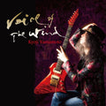 Kyoji Yamamoto / VOICE OF THE WIND CD From Japan New