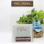 EPIK HIGH-SHOE BOX -JAPAN EDITION--CDRP5583 New Japan