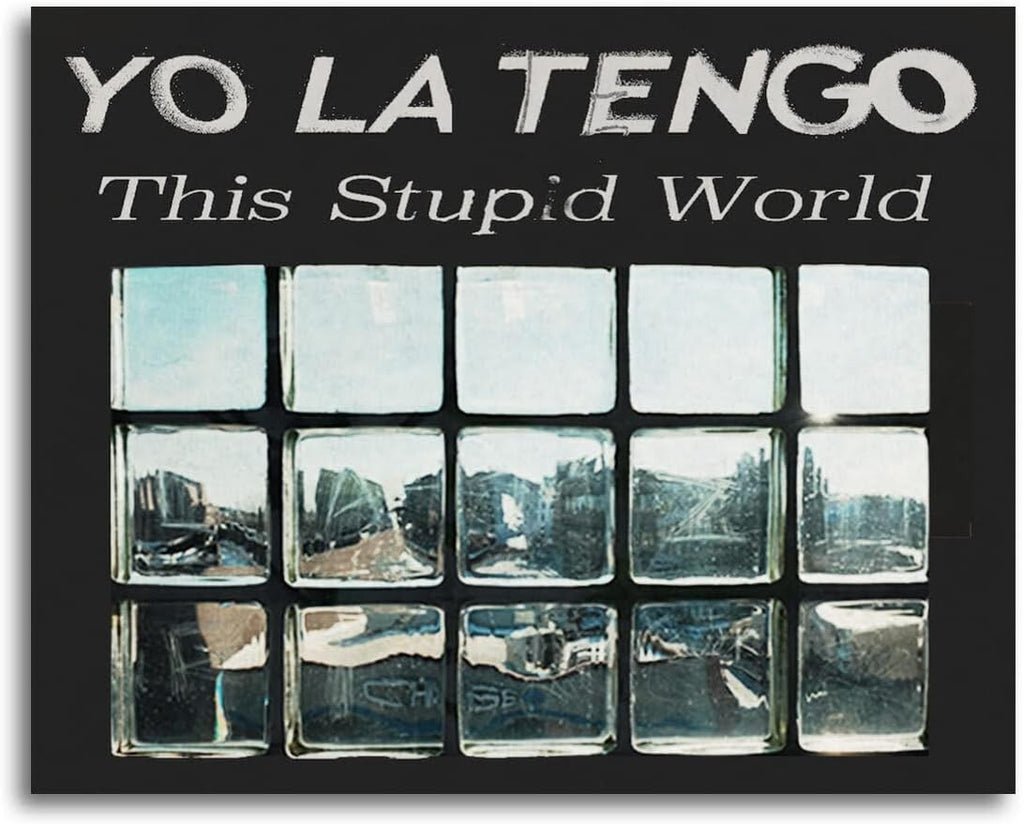 Yo La Tengo This Stupid World w/1 bonus track Japan CD NEW