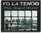 Yo La Tengo This Stupid World w/1 bonus track Japan CD NEW