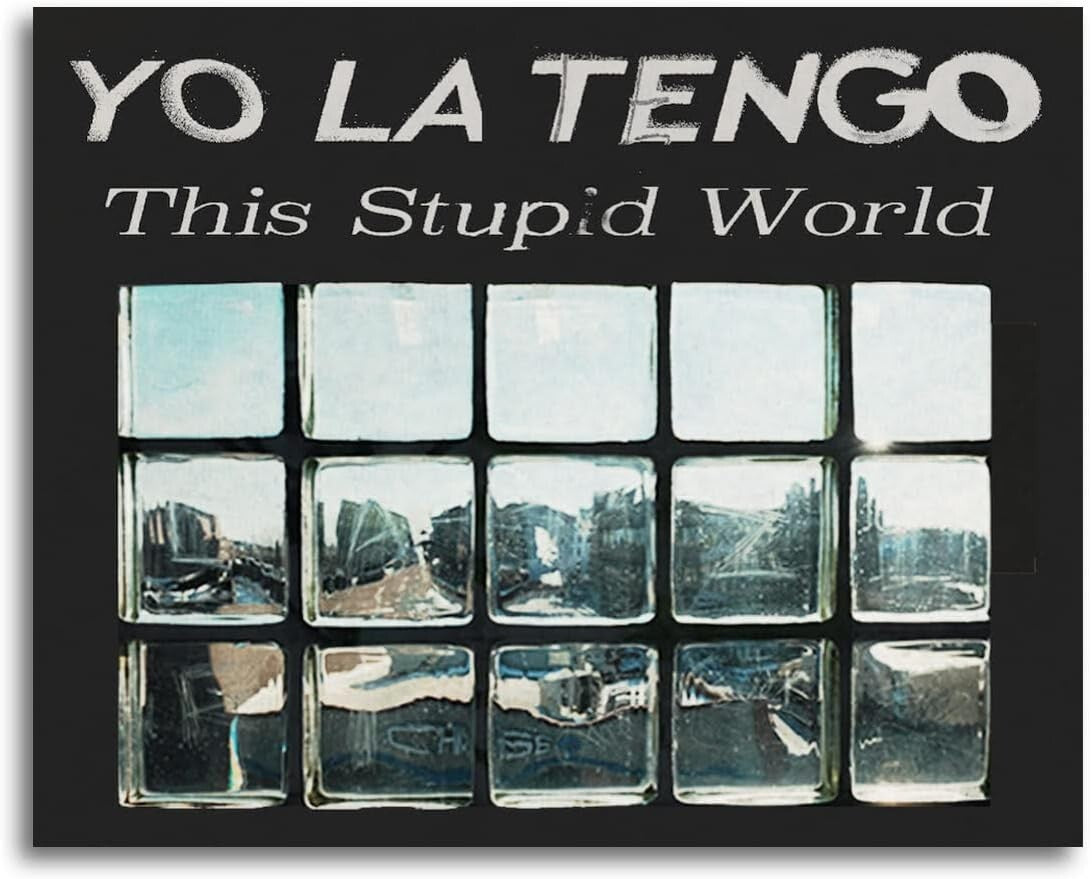 Yo La Tengo This Stupid World w/1 bonus track Japan CD NEW