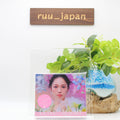 Nishino Kana Love Again CD w/ DVD Limited Edition New