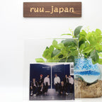 Stray Kids TOP Japanese ver. CD Standard Edition New Japan
