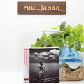 Joe Beck Trio Brazilian Dreamin New CD Album Japan Edition New
