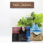 Norah Jones CD (SACD Hybrid) Norah Jones” Japan SEALED BRAND NEW