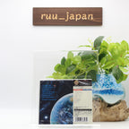 Rainbow - Down to Earth SHM CD From Japan NEW