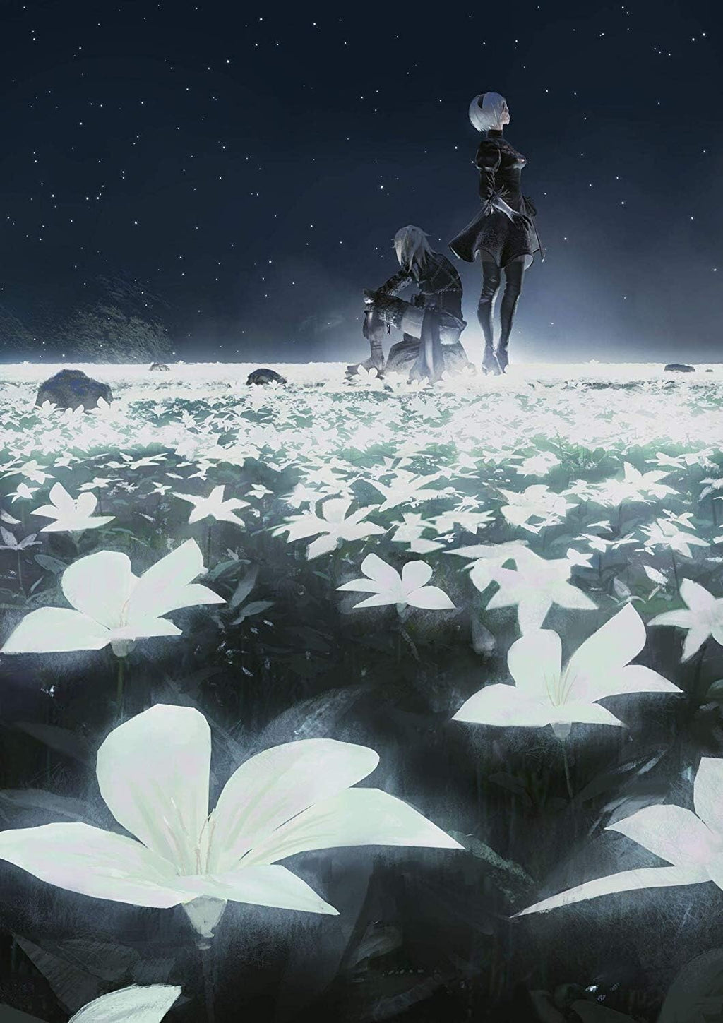 New JP BD | NieR Orchestra Concert 12018 Blu-ray