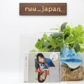 New Sayaka Yamamoto/& UMCK1743 CD