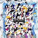 ONE OK ROCK Eye of the Storm First Limited Edition CD DVD Japan New
