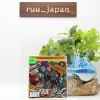 Ensemble Stars!! Album Series TRIP Crazy:B regular Edition CD Japan NEW