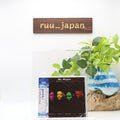 2016 AOR CITY 1000 MR. MISTER WEAR THE FACE JP CD From Japan NEW
