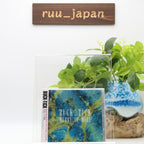 New BUCK-TICK HURRY UP MODE Digital Remastered CD JAPAN