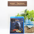 Godzilla and Mothra : The Battle for Earth 1992 Blu-ray  new