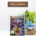 New Yu-Gi-Oh Duel Monsters Millennium Scenes Blu-ray+Card Monster Reborn
