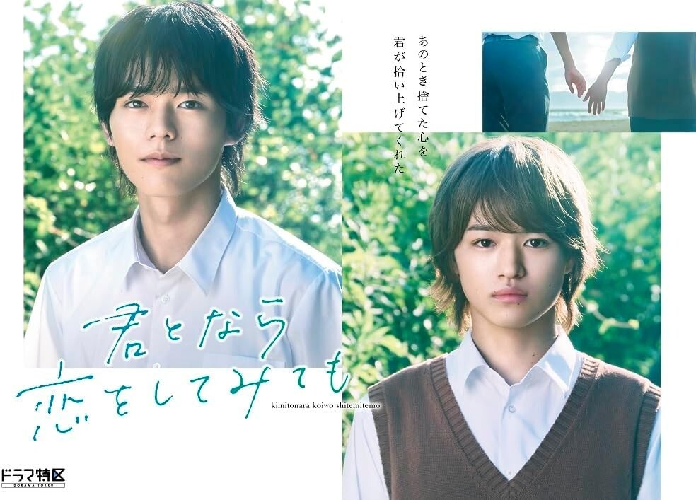 Kimi to nara Koi wo Shitemitemo Blu-ray Standard Edition Eng Sub BL Drama NEW