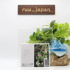 Uchu Nekoko / Kiminoyoni Ikiretara 2019 CD Japan Alternative NEW