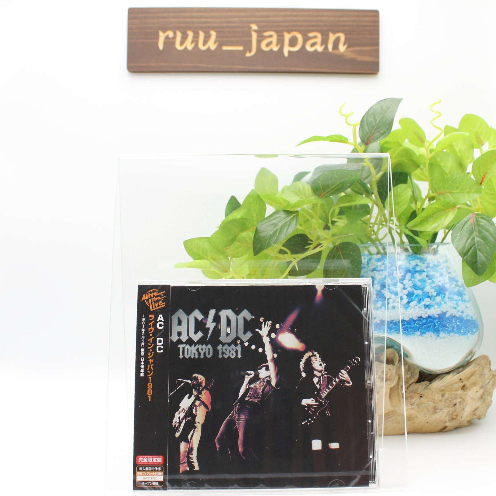 AC/DC TOKYO 1981 FEB.5TH NIPPON SEINENKAN  JAPAN CD New
