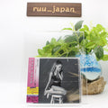 Ariana Grande CD My Everything Regular Edition Japan OBI New