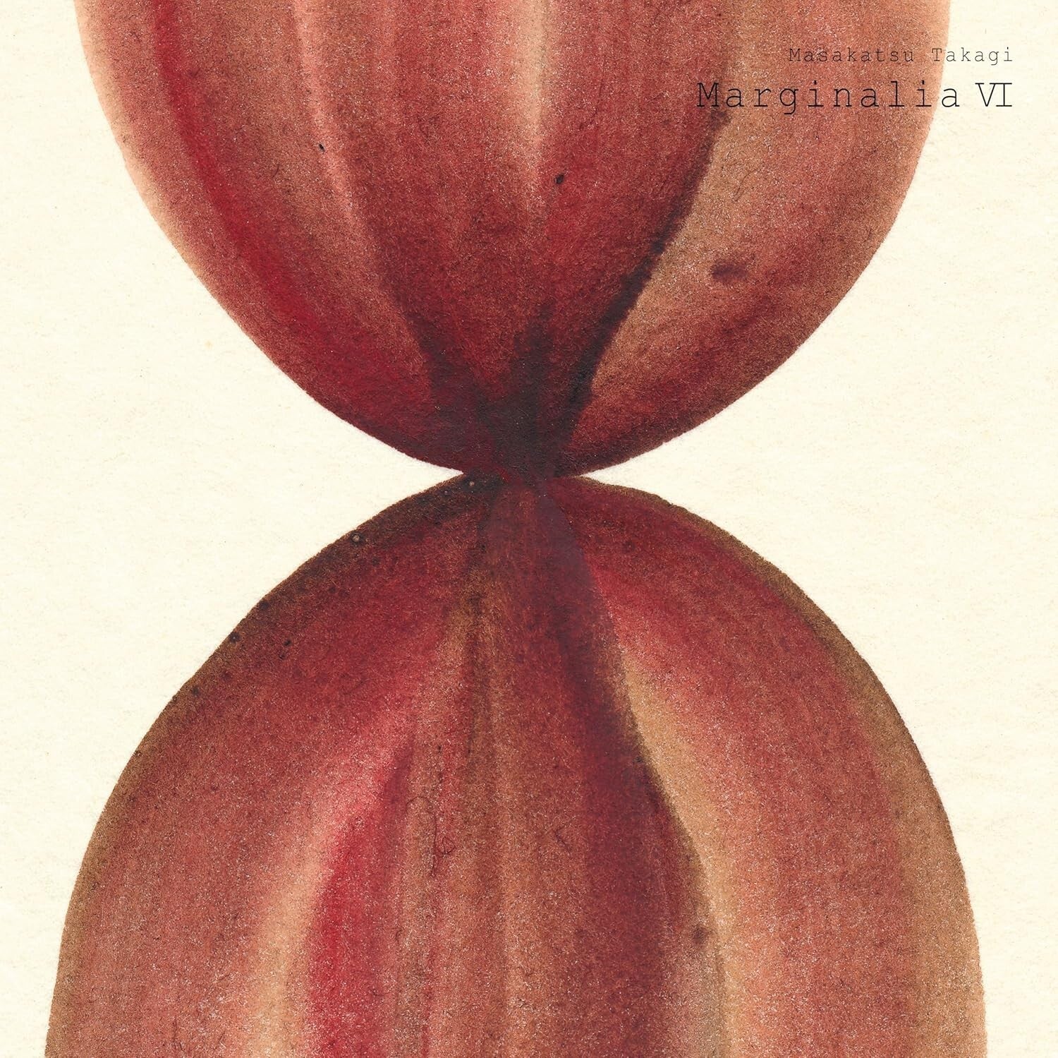 New Takagi Masakatsu/Marginalia VI SIJP1150 LP