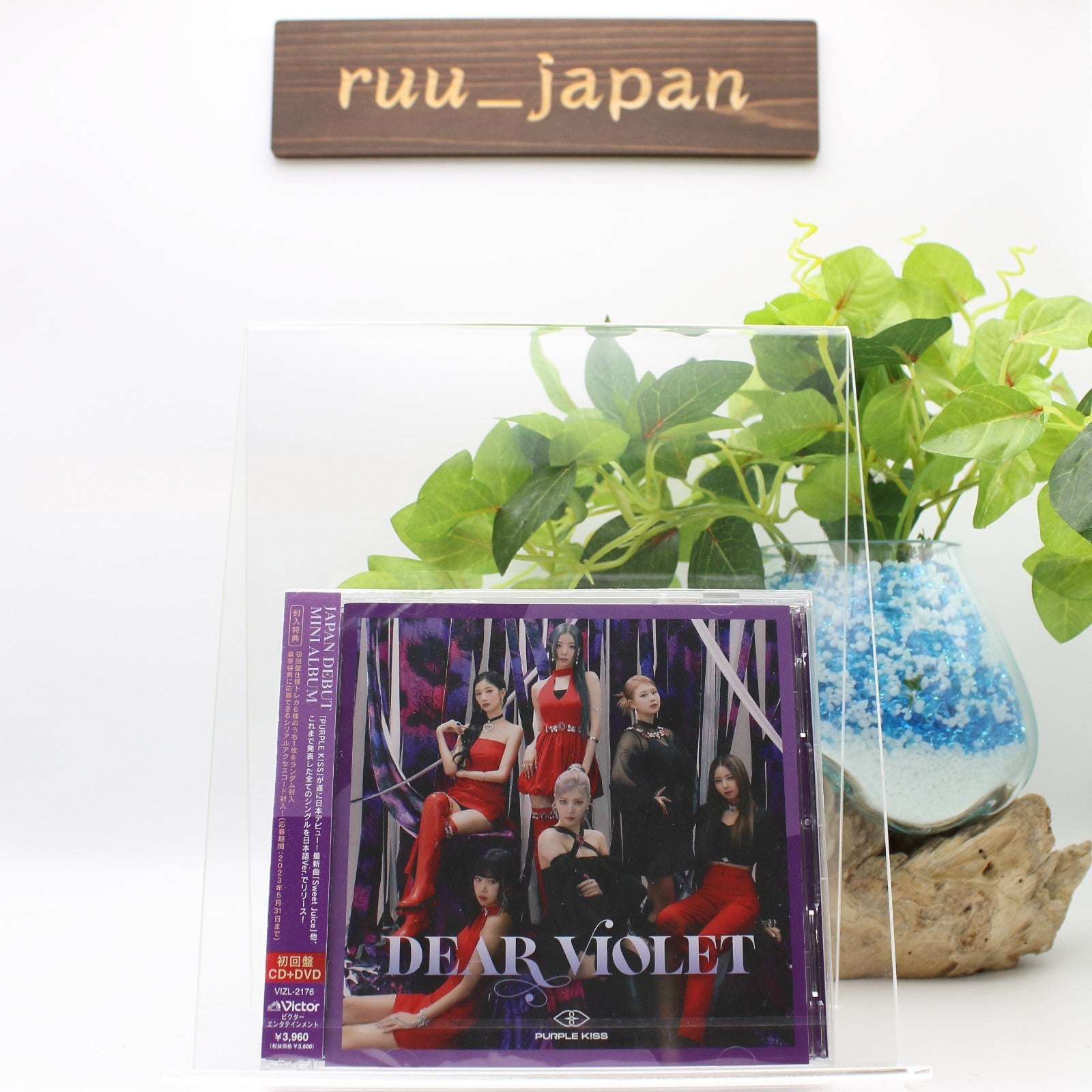 PURPLE KISS DEAR VIOLET CD w/ DVD Limited Edition Japan 1st Mini Album New