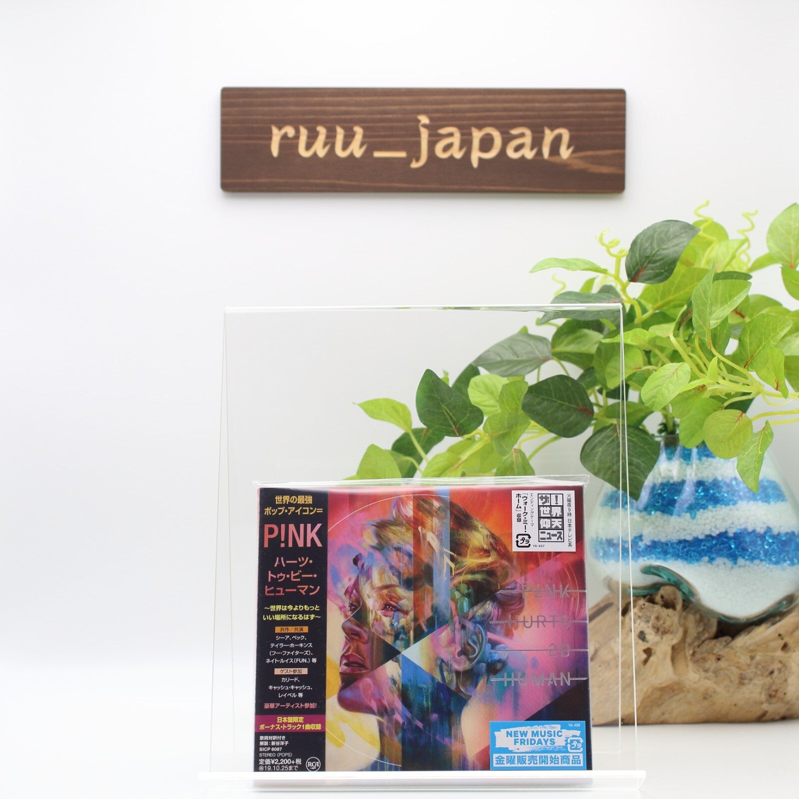JAPAN DIGI SLEEVE CD P!NK ( Pink ) HURTS 2B HUMAN W/ BONUS TRACK FOR JAPAN NEW