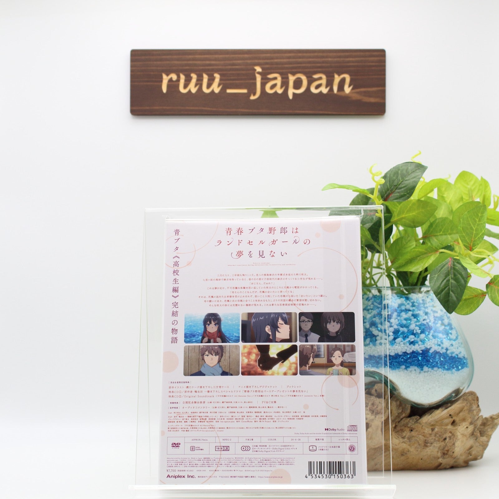 Rascal Does Not Dream of a Knapsack Kid DVD Soundtrack CD Booklet From Japan NEW