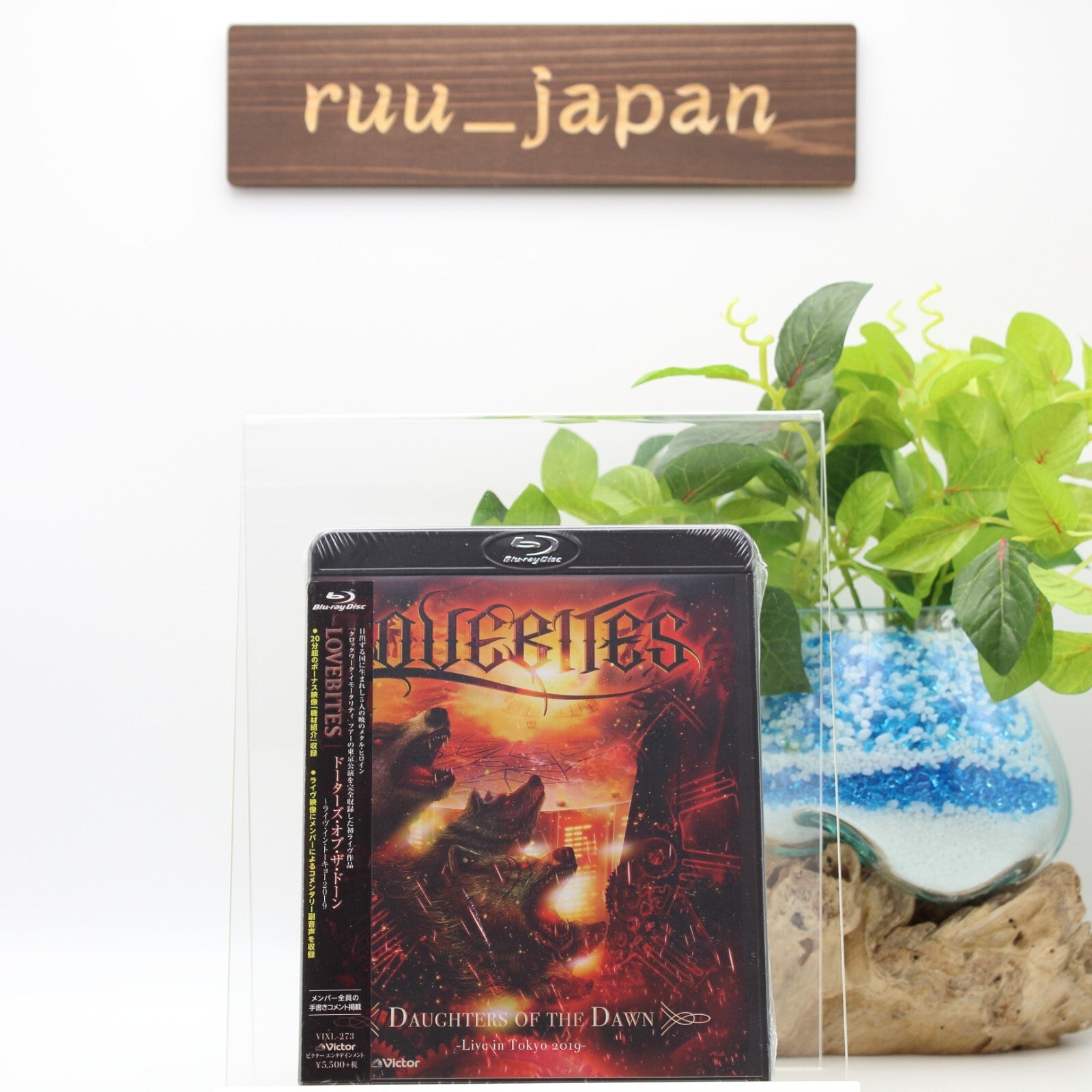 LOVEBITES Daughters of the Dawn Live in Tokyo 2019 JAPAN Blu-ray New