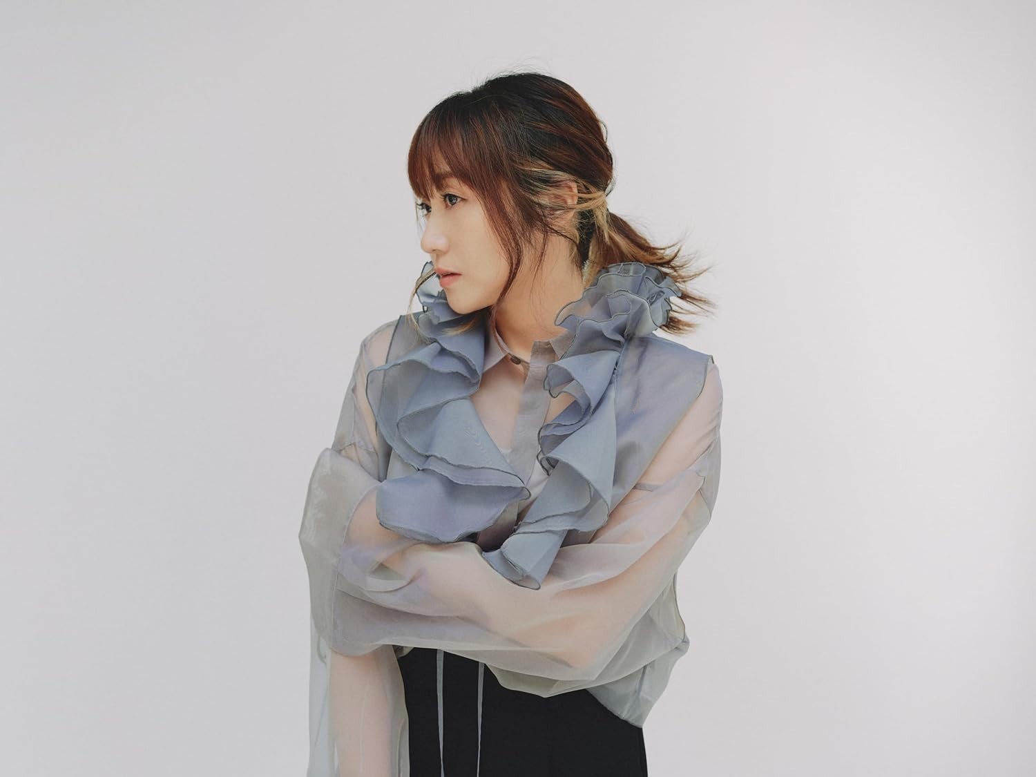 DOORS [CD + DVD] (First Limited Edition) Hitomi Yaida [CD Album] NEW