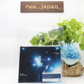 CD New Between The Stars Japan Hana Hope Music The Apothecary Diaries (CD1)