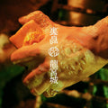 CD New Urashima Japan Limited Edition Ryugujo Music The Boys with Secrets Album