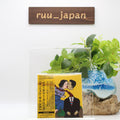 New Geordie Greep The New Sound [Bonus Track] (RT0499CDJP) Japan Music CD