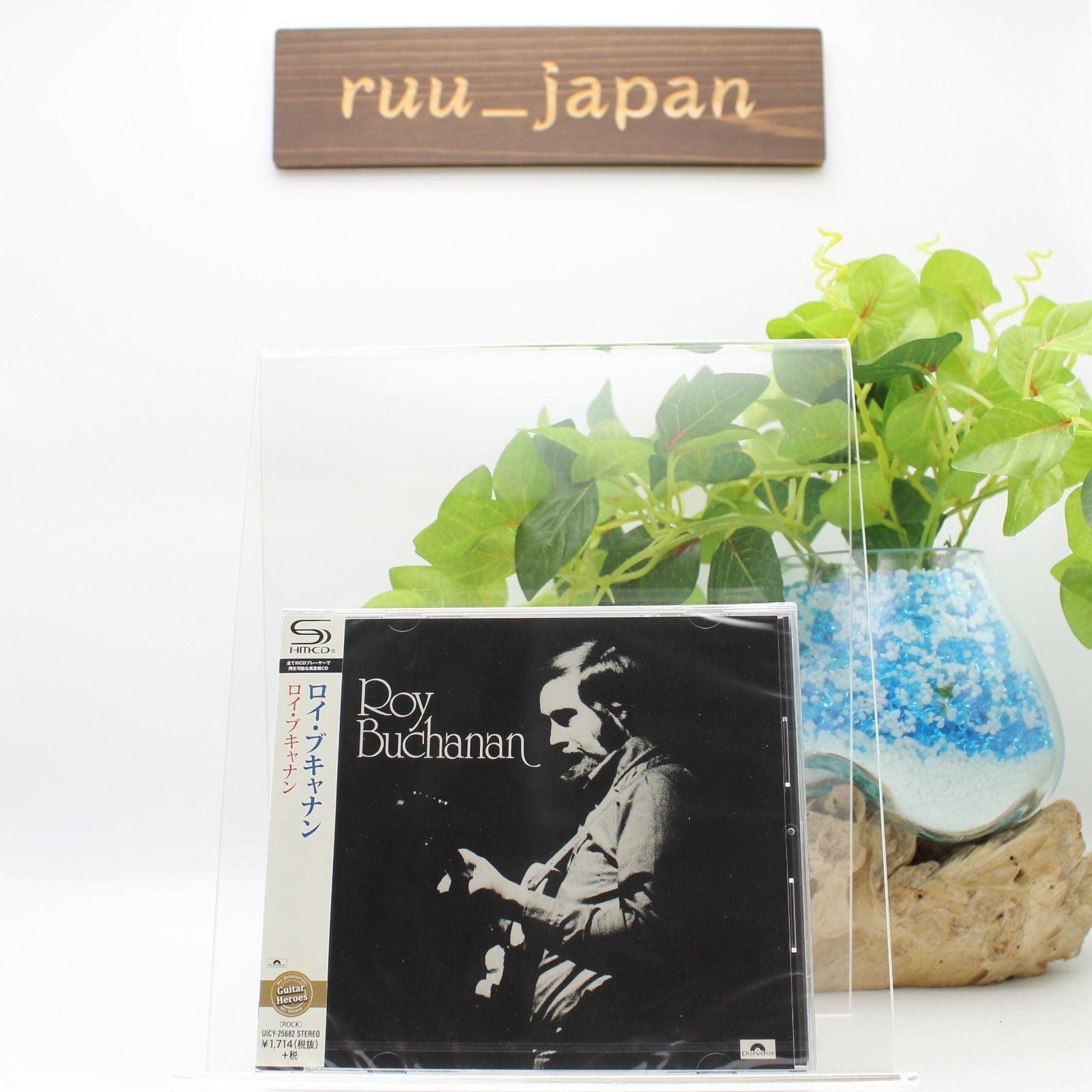 Roy Buchanan CD(SHM-CD) Roy Buchanan Japan OBI New