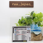 New V.A.-THE BEST OF SUPER EUROBEAT 2021-JAPAN 2 CD