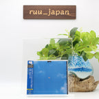 Air Pocket Fly On (Limited Edition) Japan Music CD New