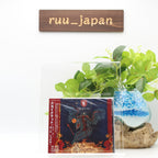 Skyclad - In The...All Together CD Rubicon Music Japan 2009 From Japan NEW