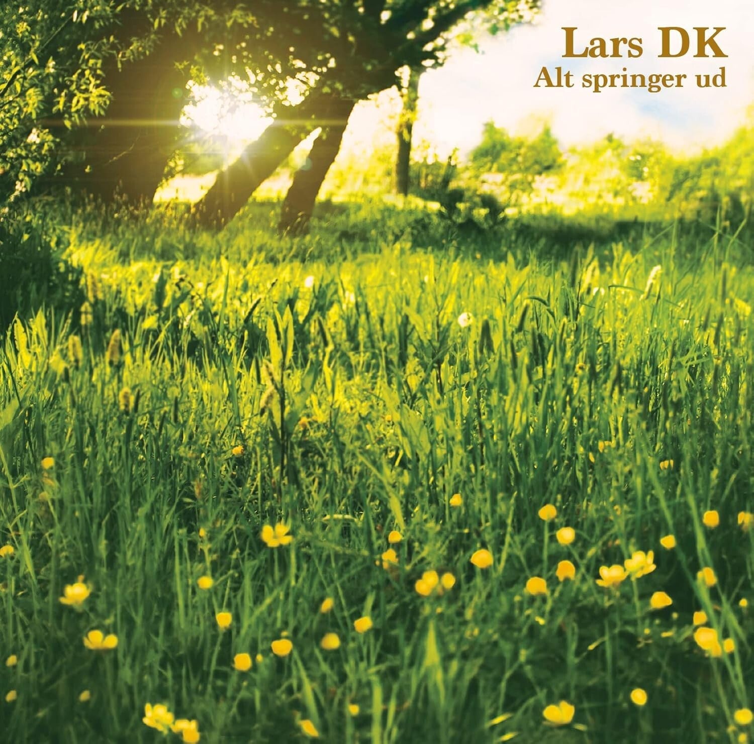New Lars Dk Everything Blossoms Japan Music CD