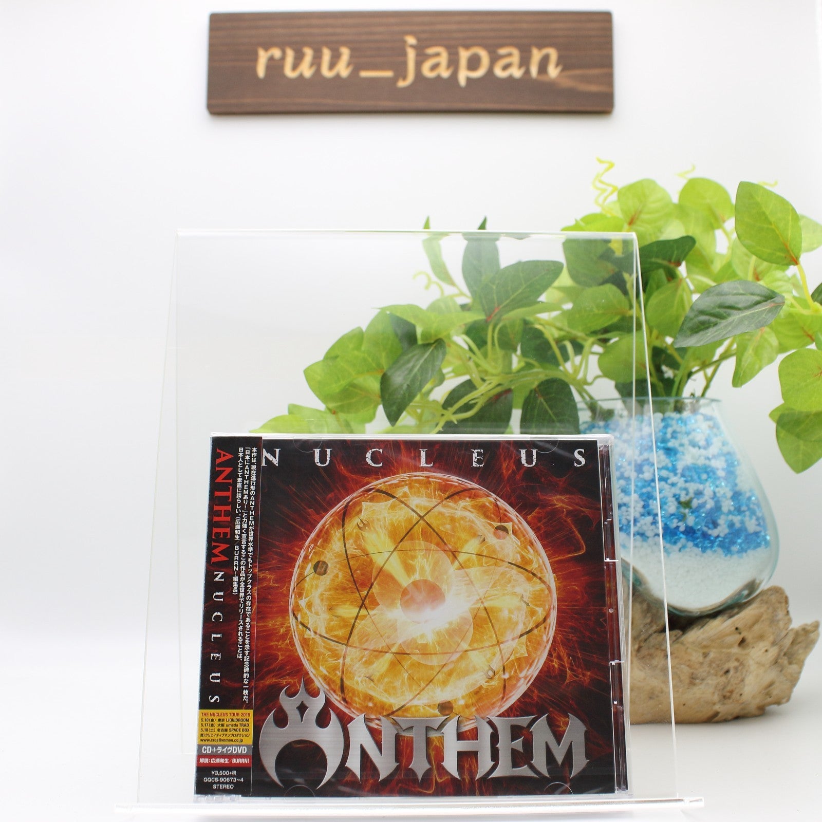 ANTHEM NUCLEUS CD + DVD Ltd/Ed From Japan NEW