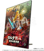 New Nintendo Switch Hyrule Warriors Age Of Calamity Treasure Box Limited Japan