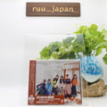 New Apink Pink Stories First Limited Version B CD+DVD