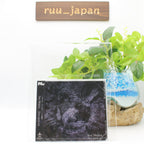 New Ave Mujica Alea jacta est CD JAPAN Standard edition