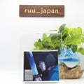 SawanoHiroyuki[nZk] LEveL (Limited Edition) Japan Music CD new