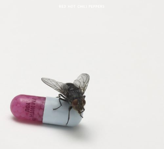 Red Hot Chili Peppers CD Im With You Paper Sleeve Japan OBI NEW