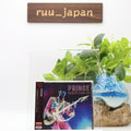 New PRINCE Paisley Park 94 / Live at Paisley Park 1994 IACD11490 CD JAPAN