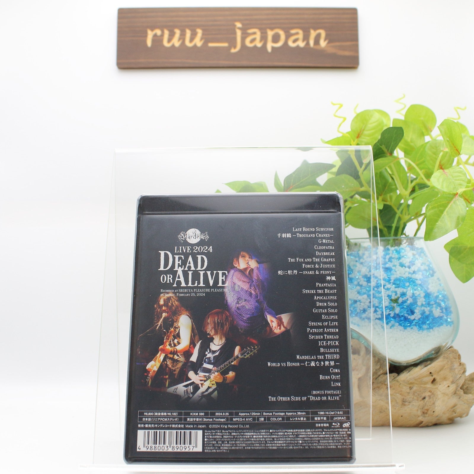 New Mardelas Live 2024 Dead or Alive Blu-ray Japan English KIXM-590