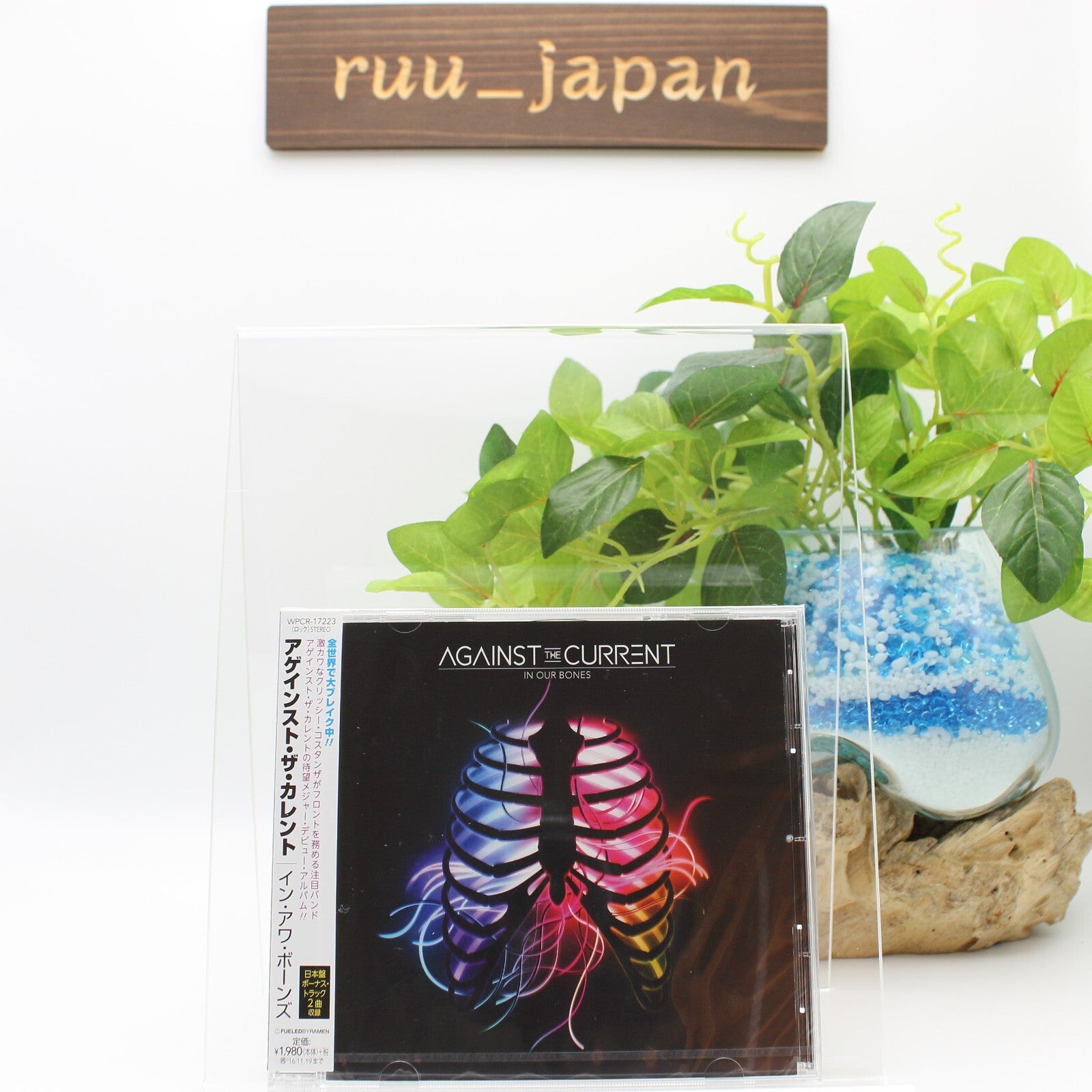 AGAINST THE CURRENT-IN OUR BONES-JAPAN CD BONUS TRACK New