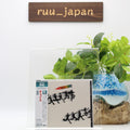 Chase CD New