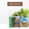 The Myths And Legends Of King Arthur And The Knights Of The Round Table CD Japan
