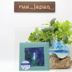 Rasmus Faber Two Left Feet Japan Music CD From Japan NEW