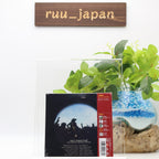 Journey To Air CD New
